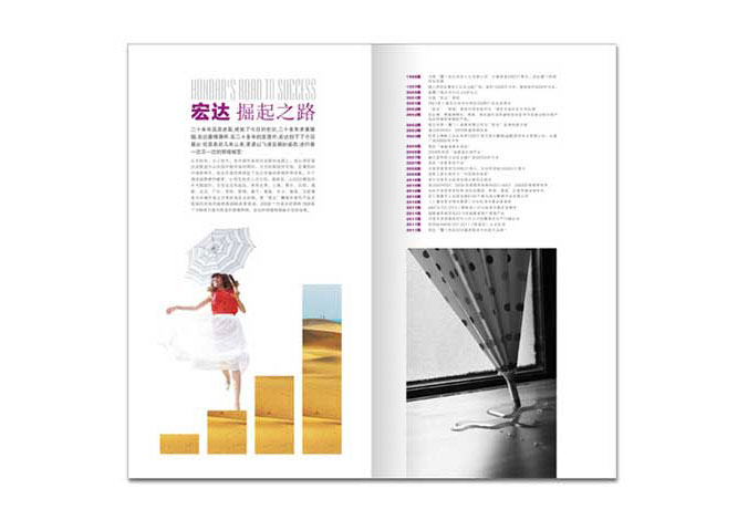 畫(huà)冊設計，標志設計，VI設計，交互設計，包裝設計，空間導示，數志視頻，廣告創(chuàng  )意設計，博納設計