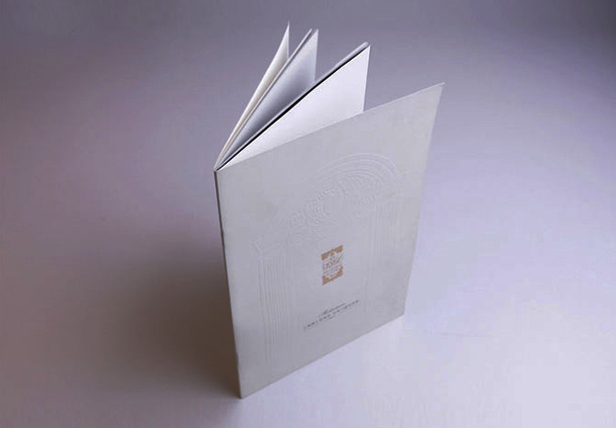 畫(huà)冊設計，標志設計，VI設計，交互設計，包裝設計，空間導示，數志視頻，廣告創(chuàng  )意設計，博納設計