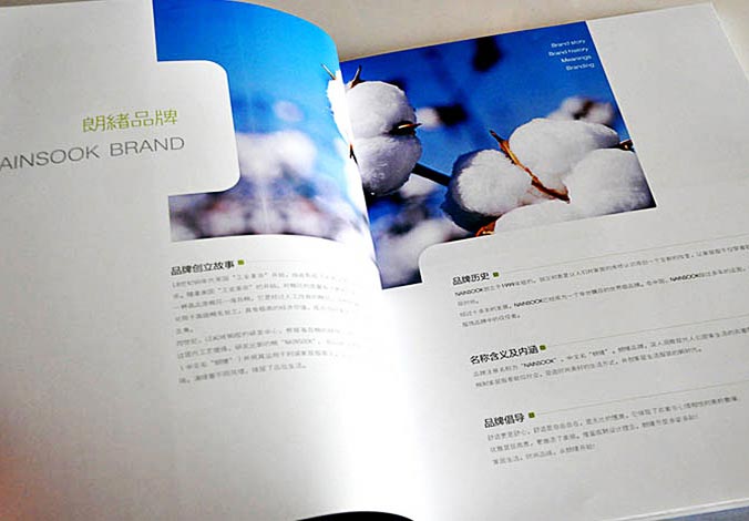 畫(huà)冊設計，標志設計，VI設計，交互設計，包裝設計，空間導示，數志視頻，廣告創(chuàng  )意設計，博納設計