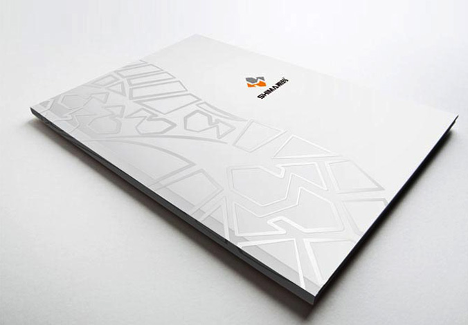 畫(huà)冊設計，標志設計，VI設計，交互設計，包裝設計，空間導示，數志視頻，廣告創(chuàng  )意設計，博納設計
