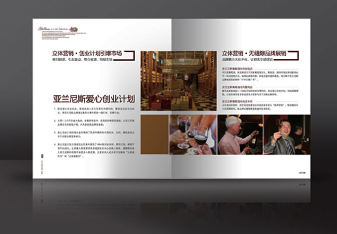 畫(huà)冊設計，標志設計，VI設計，交互設計，包裝設計，空間導示，數志視頻，廣告創(chuàng  )意設計，博納設計