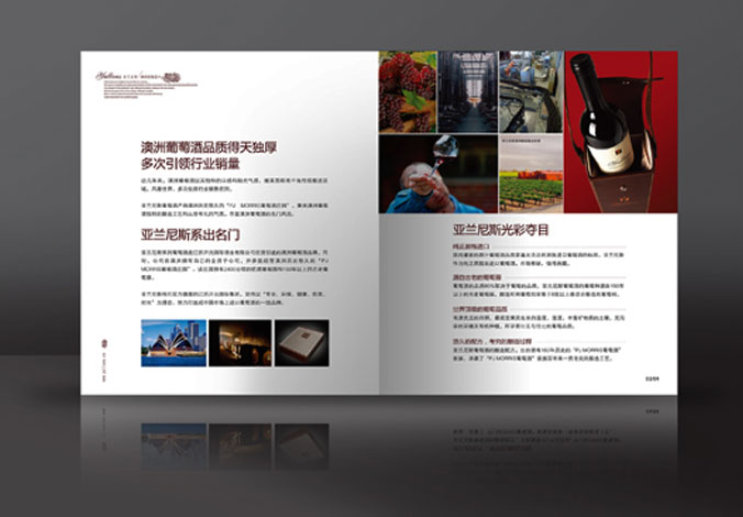 畫(huà)冊設計，標志設計，VI設計，交互設計，包裝設計，空間導示，數志視頻，廣告創(chuàng  )意設計，博納設計