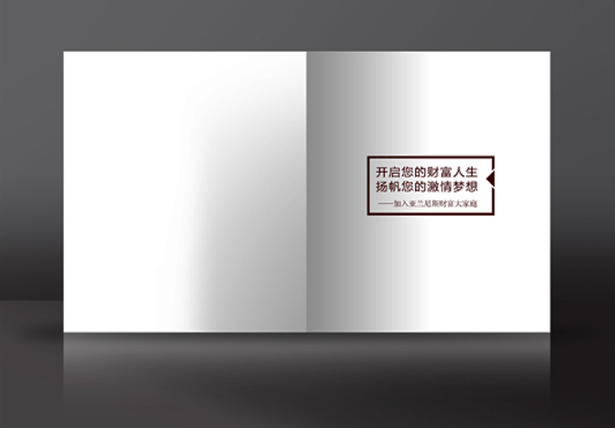 畫(huà)冊設計，標志設計，VI設計，交互設計，包裝設計，空間導示，數志視頻，廣告創(chuàng  )意設計，博納設計