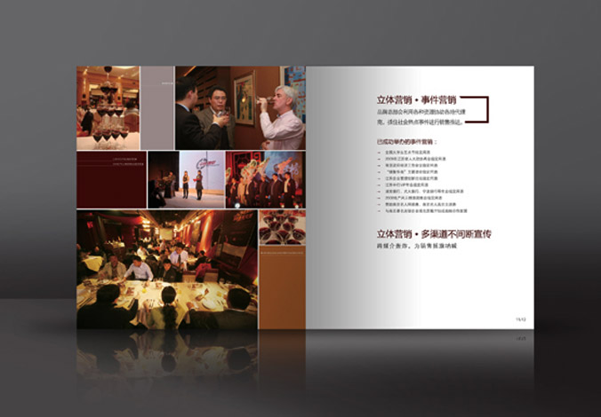 畫(huà)冊設計，標志設計，VI設計，交互設計，包裝設計，空間導示，數志視頻，廣告創(chuàng  )意設計，博納設計