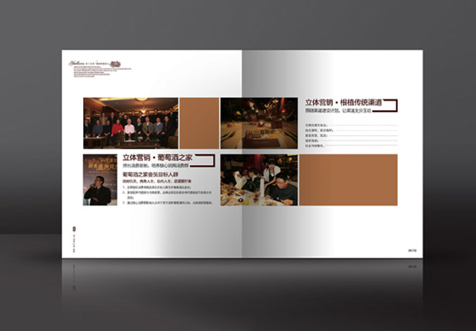 畫(huà)冊設計，標志設計，VI設計，交互設計，包裝設計，空間導示，數志視頻，廣告創(chuàng  )意設計，博納設計