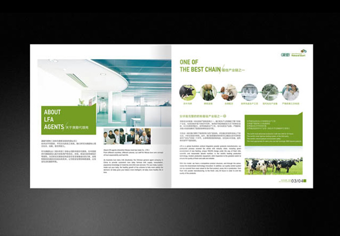 畫(huà)冊設計，標志設計，VI設計，交互設計，包裝設計，空間導示，數志視頻，廣告創(chuàng  )意設計，博納設計