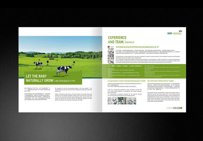 畫(huà)冊設計，標志設計，VI設計，交互設計，包裝設計，空間導示，數志視頻，廣告創(chuàng  )意設計，博納設計