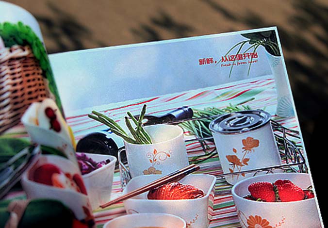 畫(huà)冊設計，標志設計，VI設計，交互設計，包裝設計，空間導示，數志視頻，廣告創(chuàng  )意設計，博納設計