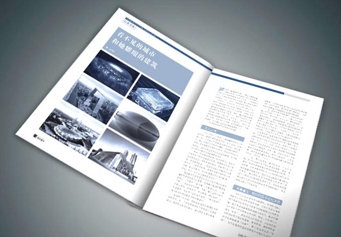 畫(huà)冊設計，標志設計，VI設計，交互設計，包裝設計，空間導示，數志視頻，廣告創(chuàng  )意設計，博納設計