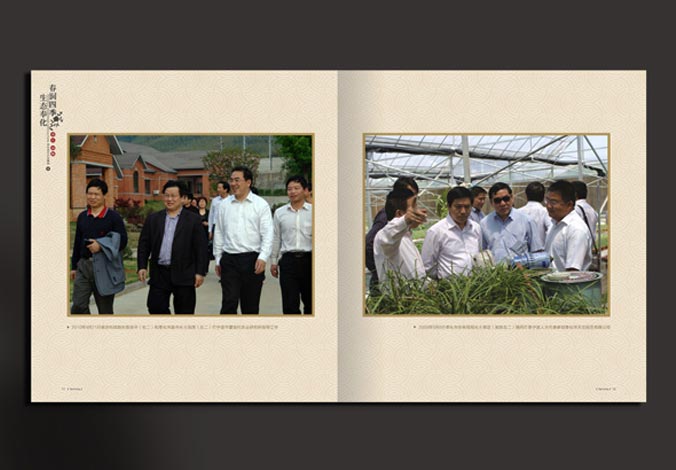 畫(huà)冊設計，標志設計，VI設計，交互設計，包裝設計，空間導示，數志視頻，廣告創(chuàng  )意設計，博納設計