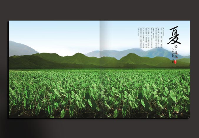 畫(huà)冊設計，標志設計，VI設計，交互設計，包裝設計，空間導示，數志視頻，廣告創(chuàng  )意設計，博納設計