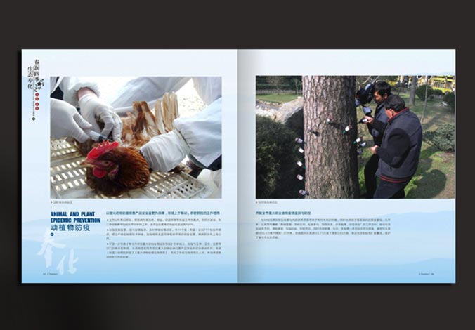 畫(huà)冊設計，標志設計，VI設計，交互設計，包裝設計，空間導示，數志視頻，廣告創(chuàng  )意設計，博納設計