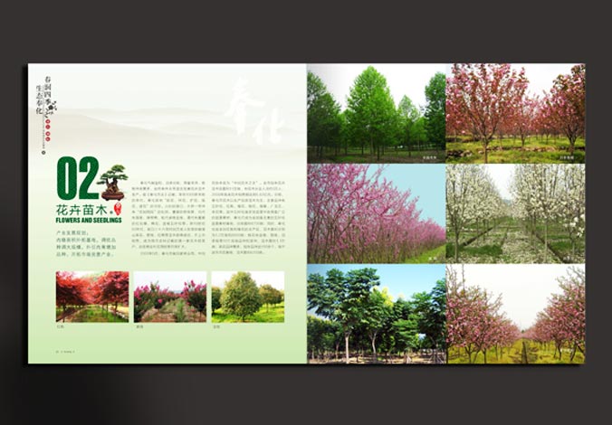 畫(huà)冊設計，標志設計，VI設計，交互設計，包裝設計，空間導示，數志視頻，廣告創(chuàng  )意設計，博納設計