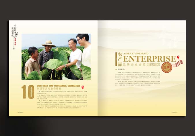 畫(huà)冊設計，標志設計，VI設計，交互設計，包裝設計，空間導示，數志視頻，廣告創(chuàng  )意設計，博納設計