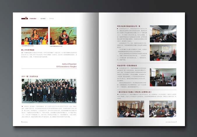 畫(huà)冊設計，標志設計，VI設計，交互設計，包裝設計，空間導示，數志視頻，廣告創(chuàng  )意設計，博納設計