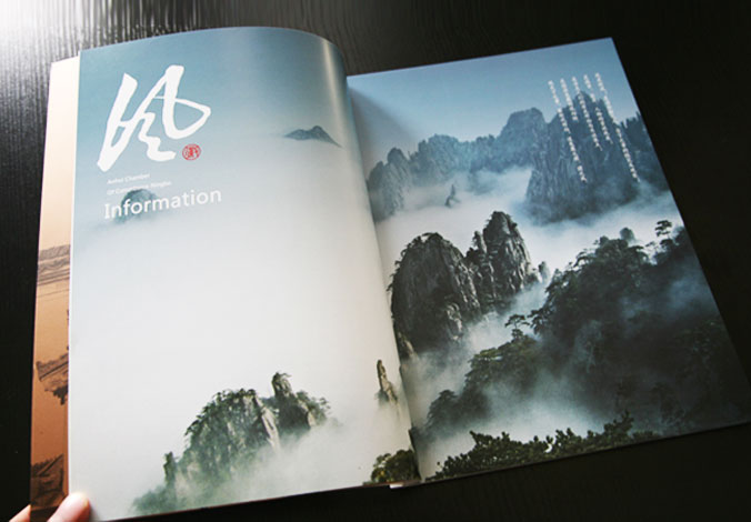 畫(huà)冊設計，標志設計，VI設計，交互設計，包裝設計，空間導示，數志視頻，廣告創(chuàng  )意設計，博納設計