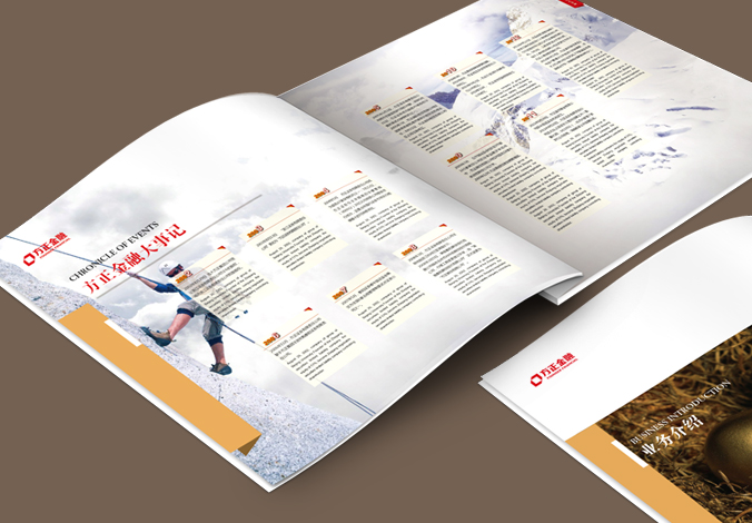方正集團 宣傳冊設計  畫(huà)冊設計  企業(yè)畫(huà)冊設計   公司宣傳冊設計
