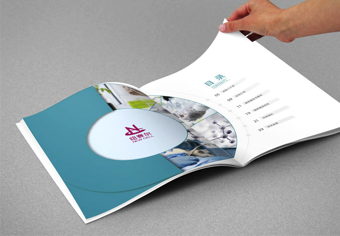 紐賽爾畫(huà)冊設計