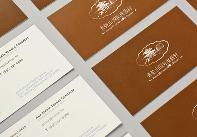 普陀山度假村  商標設計 標志設計 logo設計 VI設計 品牌設計 北京商標設計 北京標志設計 企業(yè)標志設計 公司標志設計 北京logo設計 北京VI設計 北京品牌設計