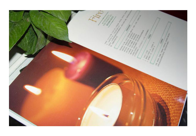 自然堂畫(huà)冊設計