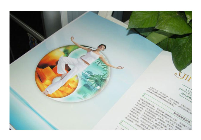 自然堂畫(huà)冊設計