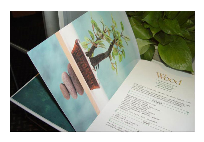 自然堂畫(huà)冊設計