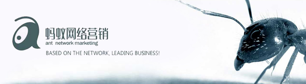 螞蟻網(wǎng)絡(luò )營(yíng)銷(xiāo)