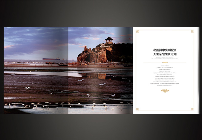 天海頤墅  海報設計  廣告詞創(chuàng  )意設計