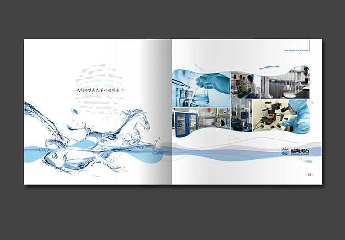 藍海黑石 畫(huà)冊設計 宣傳冊設計 商標設計 標志設計 logo設計 VI設計 品牌設計 公司商標設計  企業(yè)標志設計 公司標志設計 企業(yè)logo設計 企業(yè)VI設計 企業(yè)品牌設計 北京彩頁(yè)設計