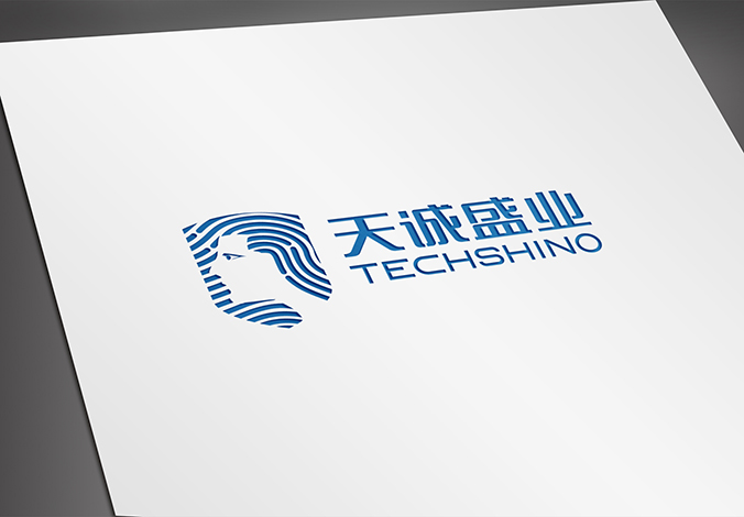 logo設計 企業(yè)logo設計 商標設計 VI設計  天誠盛業(yè)科技