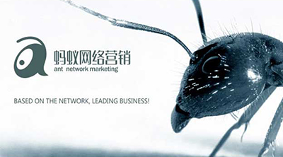 螞蟻網(wǎng)絡(luò )營(yíng)銷(xiāo)