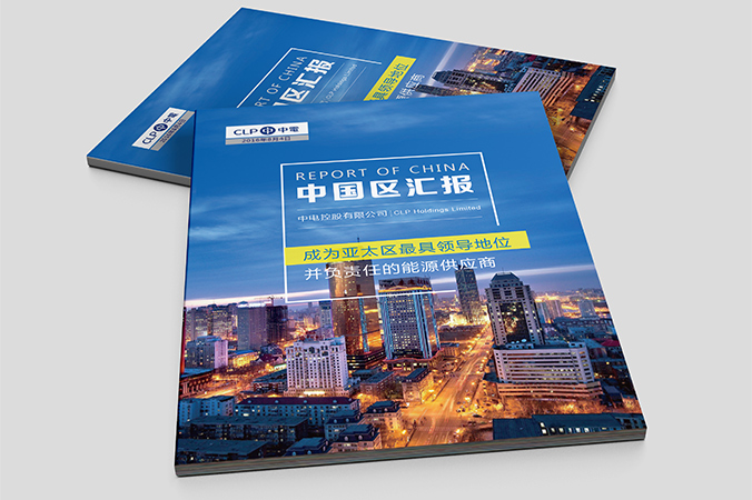 中電控股 畫(huà)冊設計 宣傳冊設計 北京彩頁(yè)設計 logo設計 商標設計 標志設計 VI設計 VI設計公司 包裝設計 產(chǎn)品包裝設計 包裝盒設計  品牌設計 品牌設計公司 企業(yè)logo設計