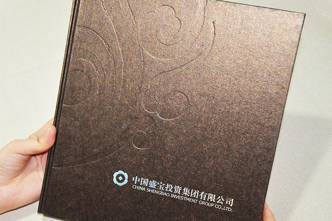 中國盛寶投資集團 畫(huà)冊設計 宣傳冊設計 北京彩頁(yè)設計 logo設計 商標設計 標志設計 企業(yè)logo設計 VI設計 VI設計公司 品牌設計 品牌設計公司