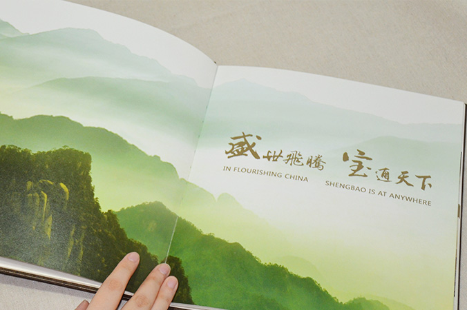 中國盛寶投資集團 畫(huà)冊設計 宣傳冊設計 北京彩頁(yè)設計 logo設計 商標設計 標志設計 企業(yè)logo設計 VI設計 VI設計公司 品牌設計 品牌設計公司