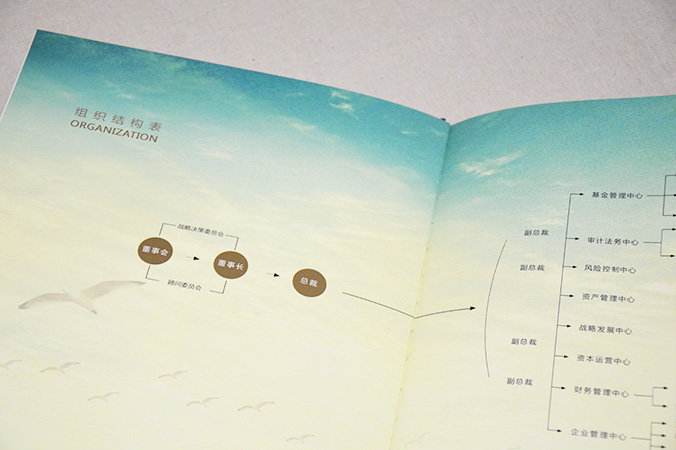 中國盛寶投資集團 畫(huà)冊設計 宣傳冊設計 北京彩頁(yè)設計 logo設計 商標設計 標志設計 企業(yè)logo設計 VI設計 VI設計公司 品牌設計 品牌設計公司