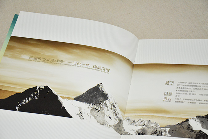 中國盛寶投資集團 畫(huà)冊設計 宣傳冊設計 北京彩頁(yè)設計 logo設計 商標設計 標志設計 企業(yè)logo設計 VI設計 VI設計公司 品牌設計 品牌設計公司