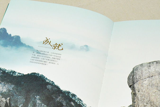 中國盛寶投資集團 畫(huà)冊設計 宣傳冊設計 北京彩頁(yè)設計 logo設計 商標設計 標志設計 企業(yè)logo設計 VI設計 VI設計公司 品牌設計 品牌設計公司