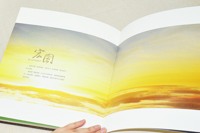 中國盛寶投資集團 畫(huà)冊設計 宣傳冊設計 北京彩頁(yè)設計 logo設計 商標設計 標志設計 企業(yè)logo設計 VI設計 VI設計公司 品牌設計 品牌設計公司