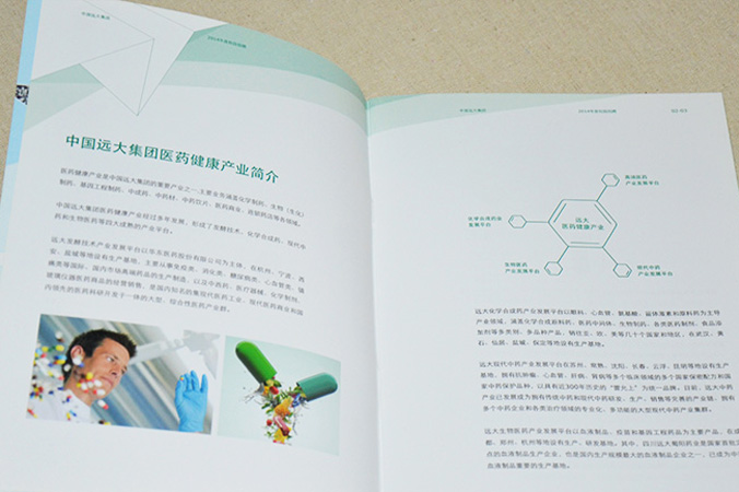 中國遠大集團 畫(huà)冊設計 宣傳冊設計 北京彩頁(yè)設計 logo設計 商標設計 標志設計 企業(yè)logo設計 VI設計 VI設計公司 品牌設計 品牌設計公司