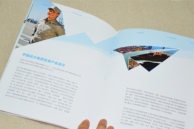 中國遠大集團 畫(huà)冊設計 宣傳冊設計 北京彩頁(yè)設計 logo設計 商標設計 標志設計 企業(yè)logo設計 VI設計 VI設計公司 品牌設計 品牌設計公司