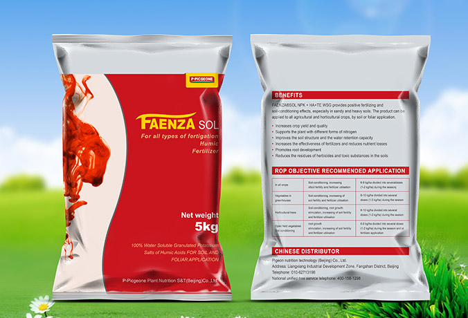 法恩莎水溶肥 包裝設計 產(chǎn)品包裝設計 包裝盒設計 畫(huà)冊設計 宣傳冊設計 北京彩頁(yè)設計 logo設計 商標設計 標志設計 企業(yè)logo設計 VI設計 VI設計公司