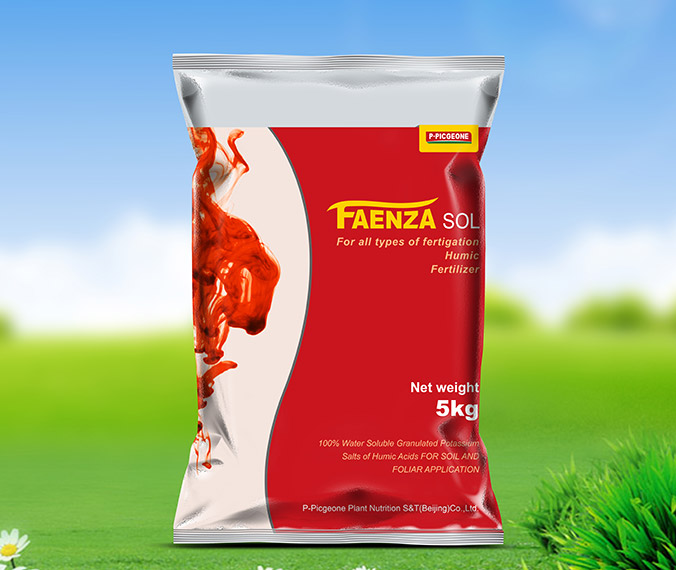 法恩莎水溶肥 包裝設計 產(chǎn)品包裝設計 包裝盒設計 畫(huà)冊設計 宣傳冊設計 北京彩頁(yè)設計 logo設計 商標設計 標志設計 企業(yè)logo設計 VI設計 VI設計公司