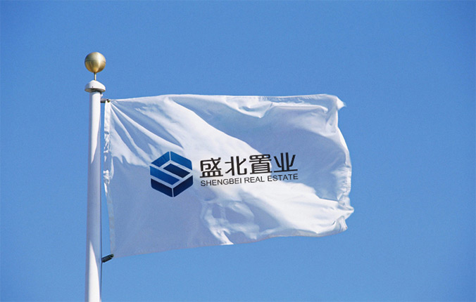盛北置業(yè) logo設計 商標設計 標志設計 企業(yè)logo設計 VI設計 VI設計公司 品牌設計 品牌設計公司 包裝設計 產(chǎn)品包裝設計 包裝盒設計 畫(huà)冊設計 宣傳冊設計 北京彩頁(yè)設計