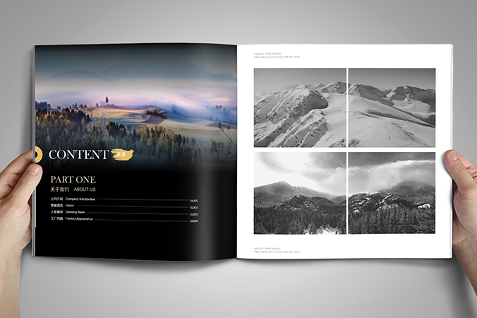 美參堂  北京宣傳冊設計  產(chǎn)品畫(huà)冊設計  企業(yè)宣傳冊設計