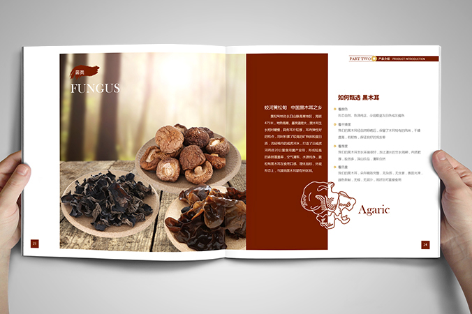 美參堂  北京宣傳冊設計  產(chǎn)品畫(huà)冊設計  企業(yè)宣傳冊設計