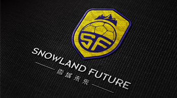 雪域未來(lái)—中國足球名將孫繼海旗下公司