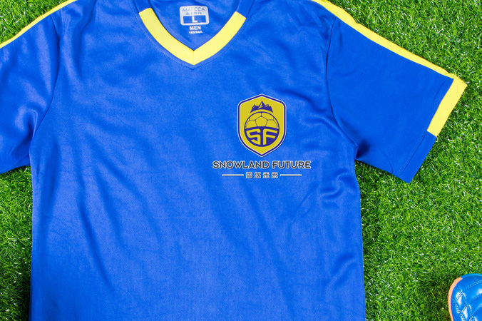 雪域未來(lái) logo設計 公司logo設計 企業(yè)標志設計