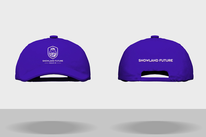 雪域未來(lái) logo設計 公司logo設計 企業(yè)標志設計