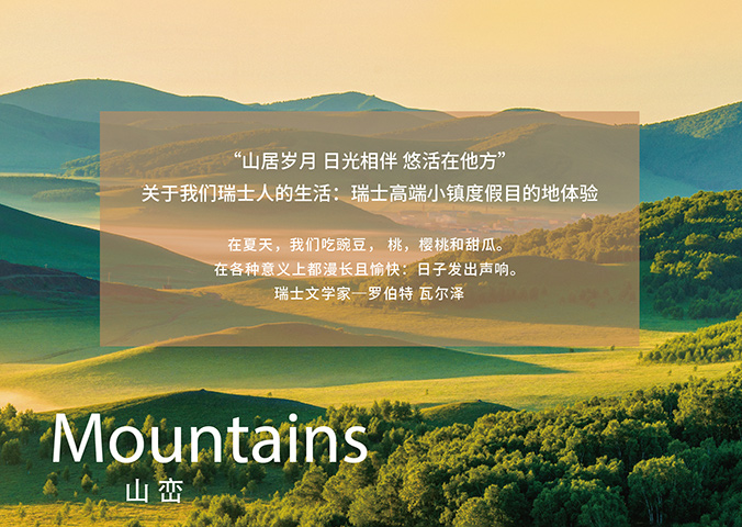 VI設計   公司VI設計  企業(yè)品牌設計  瑞嵐酒店