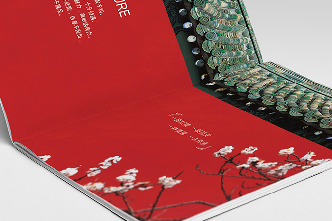 產(chǎn)品畫(huà)冊設計 企業(yè)宣傳冊設計  宣傳品設計  通宜博達園林古建